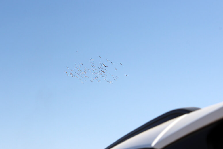 מסלול טיול: רכס הרי נפתלי מסלול טיול: רכס הרי נפתלי